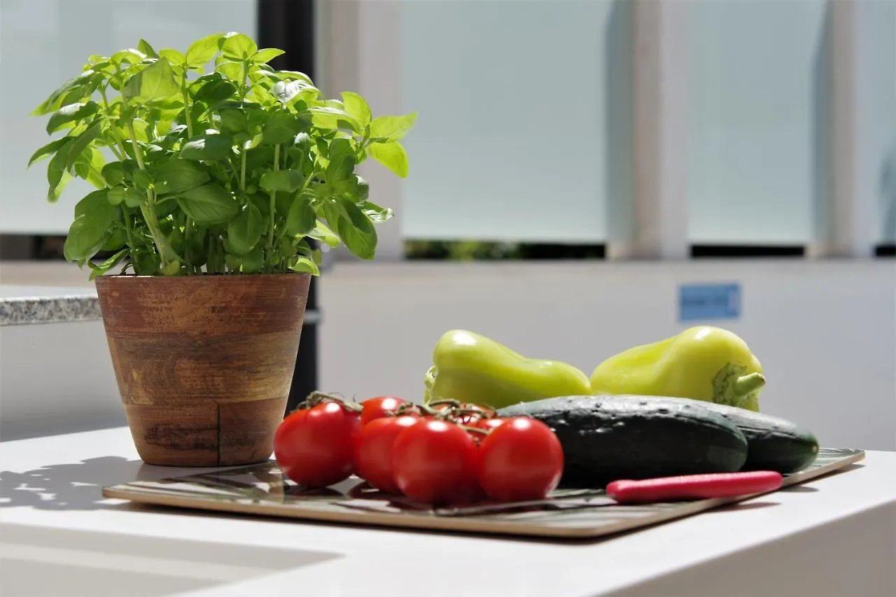 Villa Teco - Modern Apartments With Sea View 트로기르